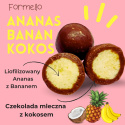 Liofilizowany ananas z bananem w czekoladzie mlecznej z kokosem 100g opakowanie bag